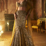 Antique Gold Fit & Flare Skirt Set