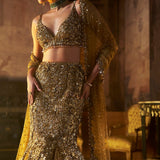 Antique Gold Fit & Flare Skirt Set