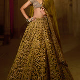 Green Velvet Zardosi Lehenga Set