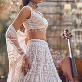 Ice Grey Dori Lehenga Set