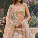 Multi-Coloured Applique Lehenga Set