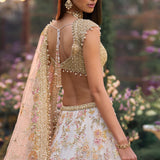Multi-Coloured Applique Lehenga Set