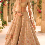 Nude Gold Lehenga Set