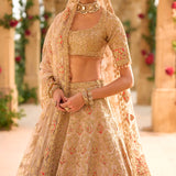 Nude Gold Lehenga Set