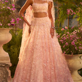 Candy Pink Three-Dimensional Lehenga Set