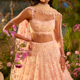 Candy Pink Three-Dimensional Lehenga Set
