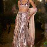 Rose Gold Fit & Flare Skirt Set