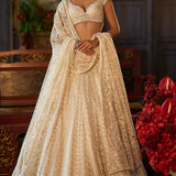 Ivory Crystal Lehenga Set