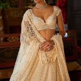 Ivory Crystal Lehenga Set