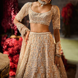 Nude Pearl Lehenga Set