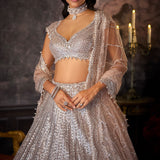 Dusty Mauve Lehenga Set