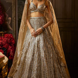 Gold Silver Lehenga Set