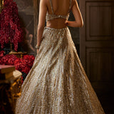 Gold Silver Lehenga Set