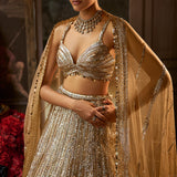 Gold Silver Lehenga Set