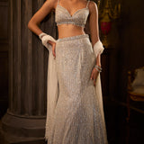 Silver Fit & Flare Trail Skirt Set