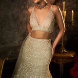 Champagne Nude Fit & Flare Skirt Set