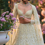 Sage Green Sequin Lehenga Set