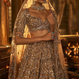 Antique Gold Tissue Lehenga Set