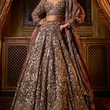 Bronze Lehenga Set