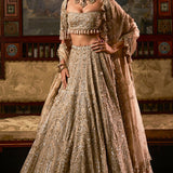 Gold Silver Tissue Lehenga Set