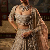 Gold Silver Tissue Lehenga Set