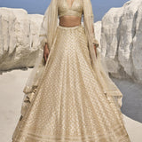 Ivory Gota Patti Lehenga Set