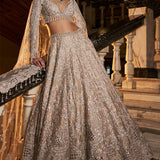 Nude Silver Cut Work Lehenga Set