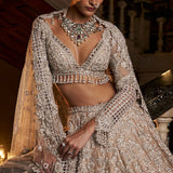 Nude Silver Cut Work Lehenga Set
