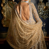 Nude Silver High-Low Sharara Set