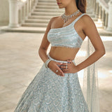 Powder Blue Sequin Lehenga Set