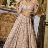 Wheat Pearl Lehenga Set