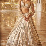 Silver Gold Crystal Lehenga Set