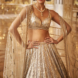 Silver Gold Crystal Lehenga Set