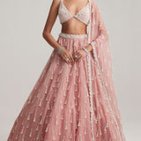 Dusty Rose Mirror & Pearl Lehenga Set