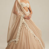 Light Beige Organza Mirror & Pearl Lehenga
