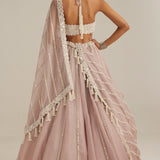 Ash Pink Linear Embroidered Lehenga