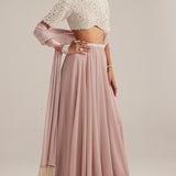 Ash Pink Georgette Skirt with Blouse and Stole
