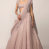 Ash Pink Embroidered Lehenga Set