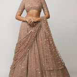 Bronze Rosé Lehenga Set