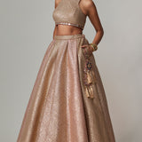 Deep Beige Lehenga Set with Crop Top