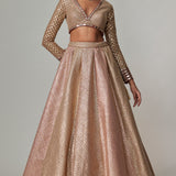Deep Beige Lehenga Set with Crop Top