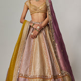 Mustard Multicolour Metallic Lehenga Set
