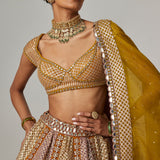 Mustard Multicolour Metallic Lehenga Set