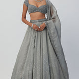 Crystal Grey Sequins Organza Lehenga Set