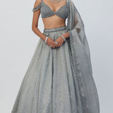 Crystal Grey Sequins Scattered Lehenga Set
