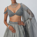 Crystal Grey Sequins Scattered Lehenga Set