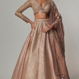 Deep Beige Lehenga Set with V-Neck Top