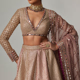 Deep Beige Lehenga Set with V-Neck Top