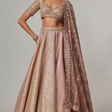 Deep Beige Multicolour Metallic Lehenga Set