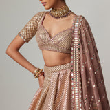 Deep Beige Multicolour Metallic Lehenga Set
